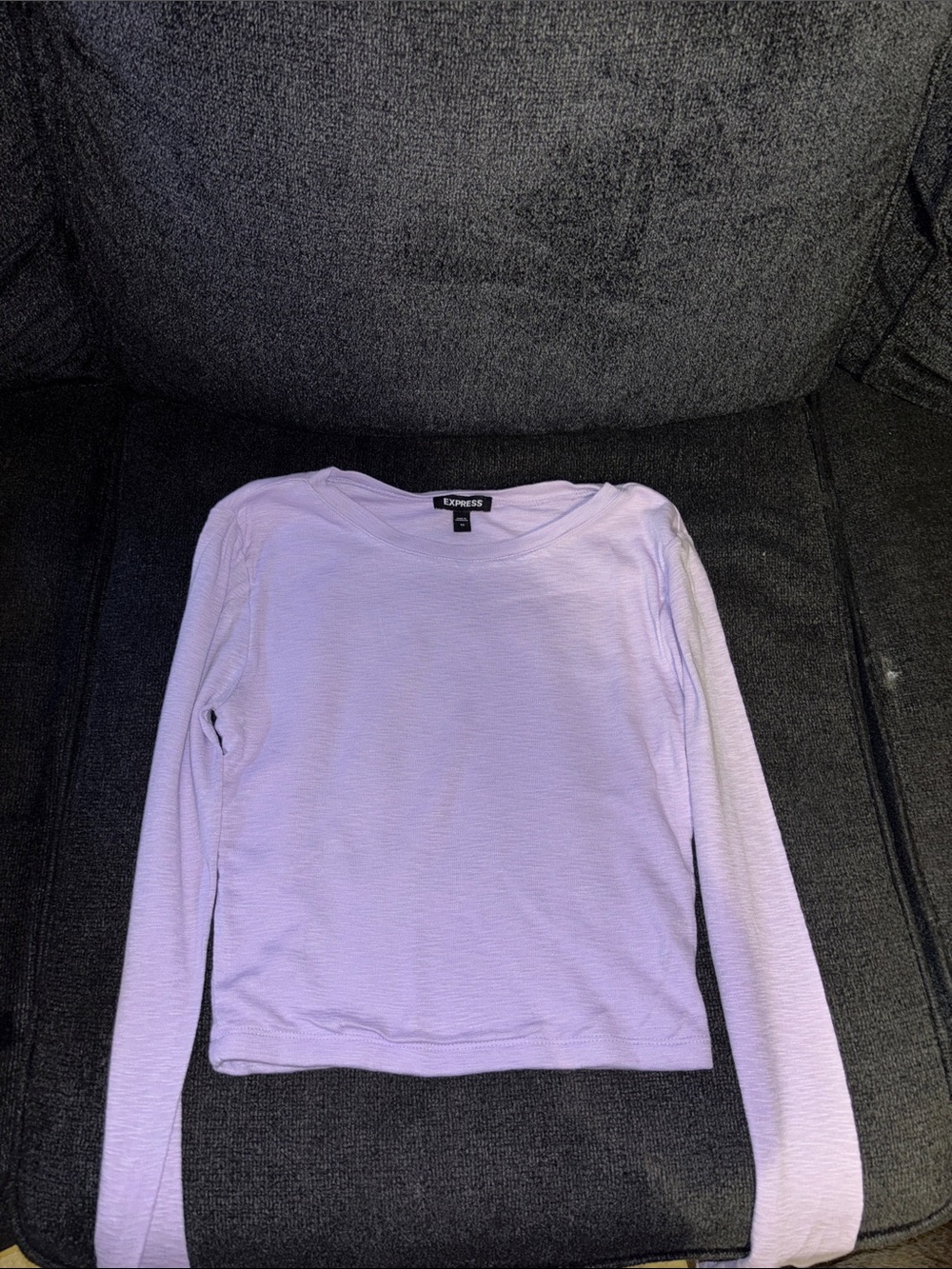 Express Lavender Long Sleeve Crop Crewneck Top